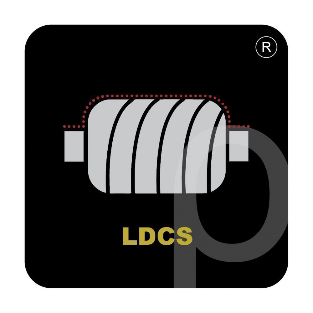 LDCS SMART